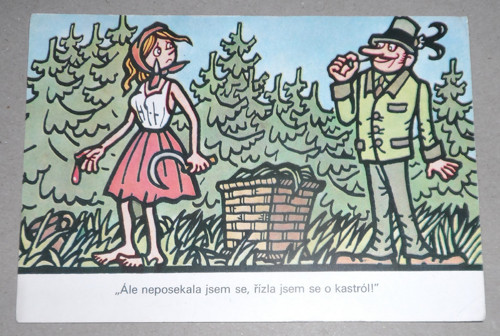 Čistá POHLEDNICE, žertovný text • Neprakta