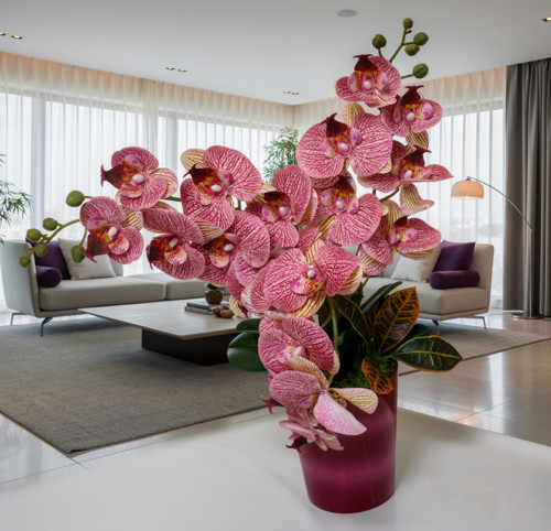 Orchidej v květináči je symbolem jemné elegance a