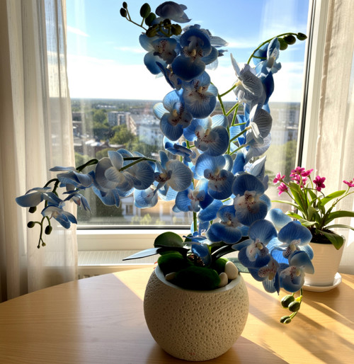 Modrá phalenopsis - umělá dekorace