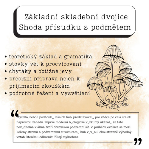 Shoda přísudku s podmětem (PDF materiál)