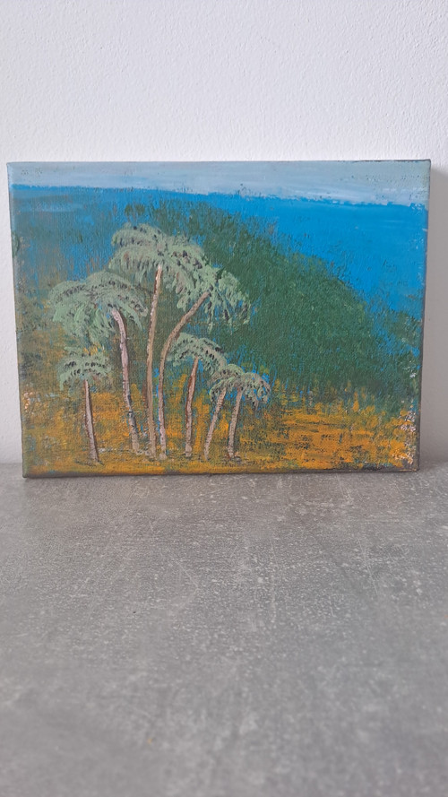 Palmy — foto 1