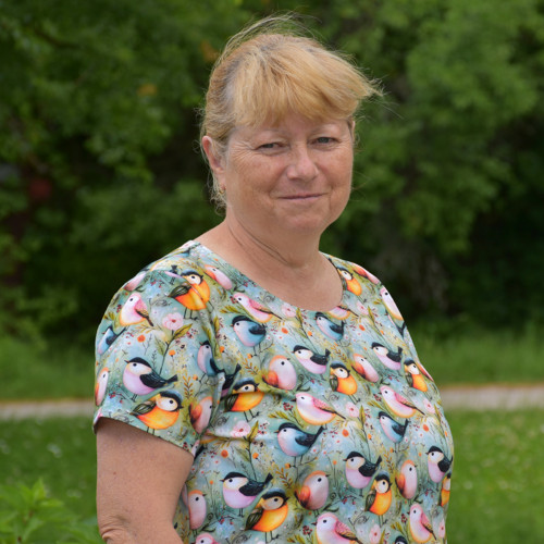 Dámské tričko - S ptáčky, vel. 32-48