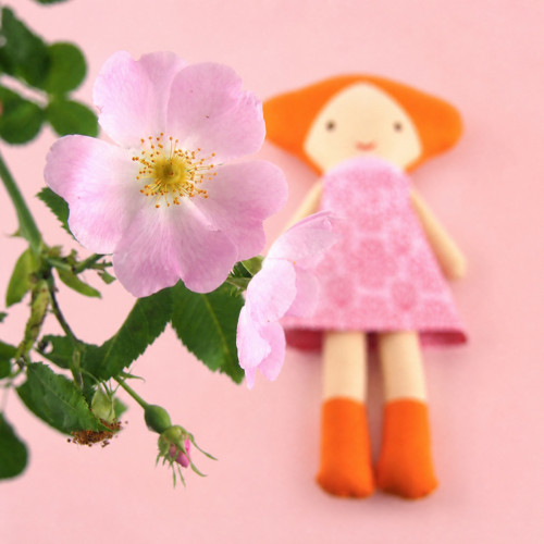 Panenka Rose
