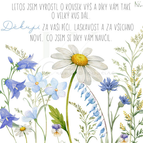 Poděkování učitelům (PDF + JPG k tisku)