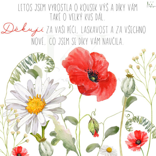 Poděkování učitelům v.2 (PDF + JPG k tisku)