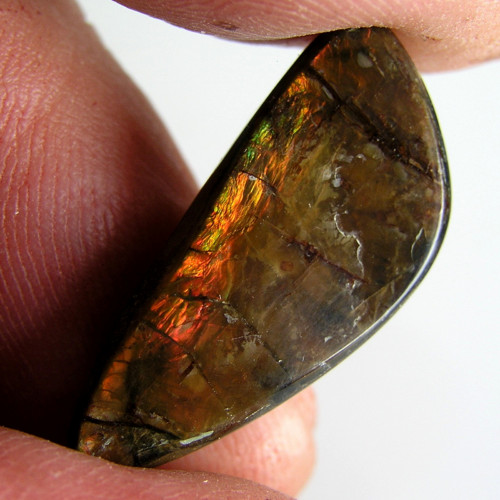 Ammolit, Kanada, 16,40 ct., 25,7x11,2x5,3 mm
