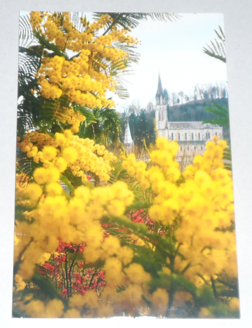 Čistá POHLEDNICE • Lurdy, bazilika — foto 1
