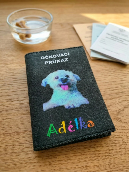 Obal na očkovací průkaz se jménem a fotkou
