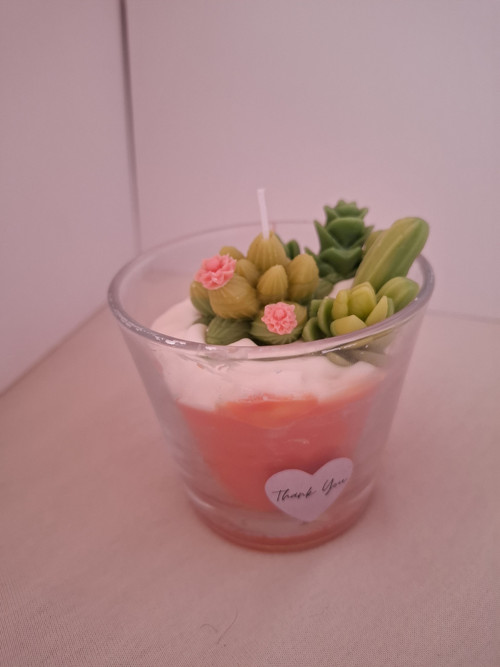 Rozkvetlé kaktusy — foto 1