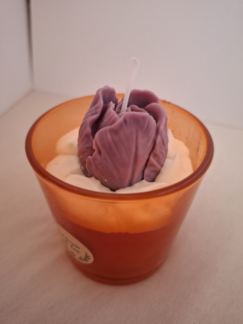 Tulipán v oblacích — foto 1