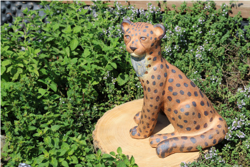 Gepard