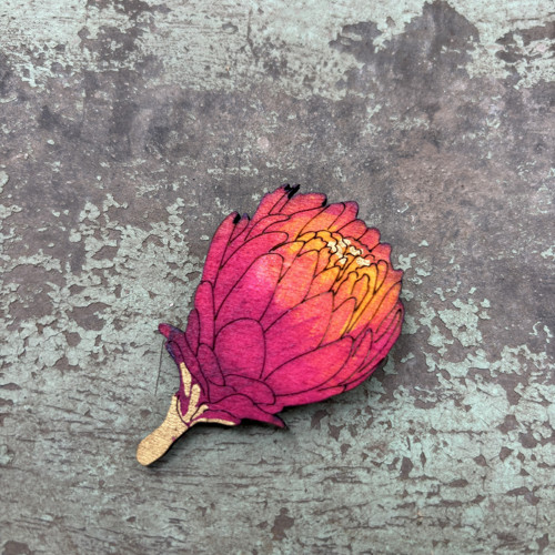 Protea — foto 1
