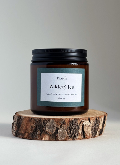 Sójová svíčka Zakletý les 120 ml