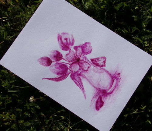 Loučení tulipánů