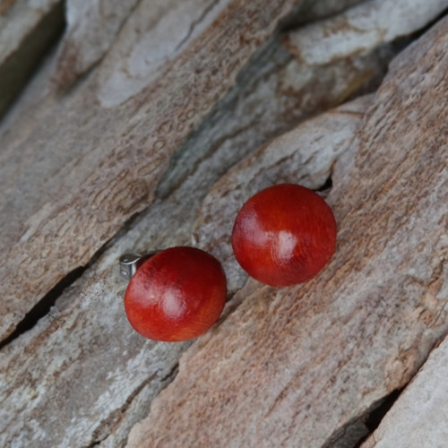 Dřevěné náušnice - jabloňové pecky