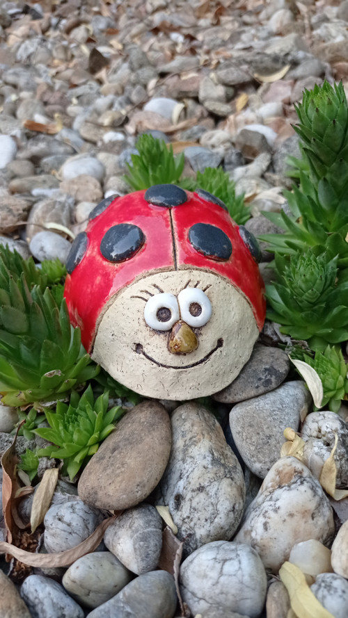 Beruška do zahrádky