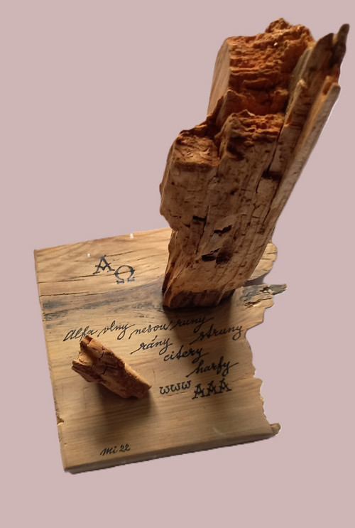Autorský text - říčka