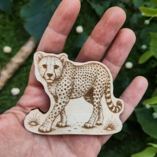 Magnetka Gepard