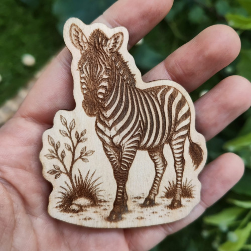 Magnetka Zebra