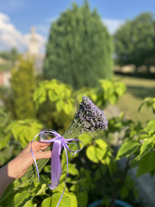 Levandulová Kytička 150ks Stonků
