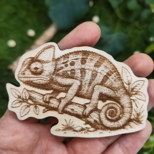 Magnetka Chameleon — foto 1