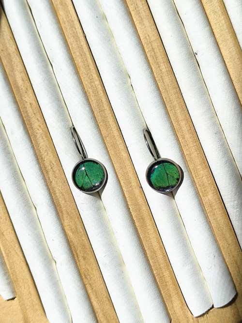 Náušničky z motýlích křídel 10mm
