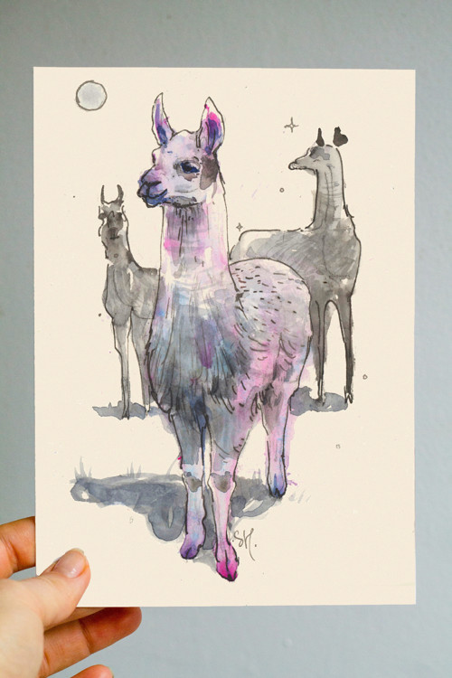 Lama