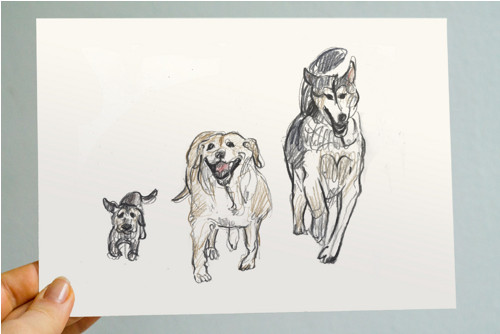 Psí hry: husky, labrador a jezevčík