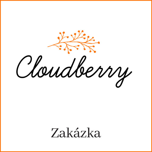 Zakázka — foto 1
