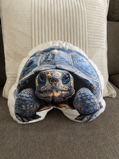 Polštář 3D - Želva