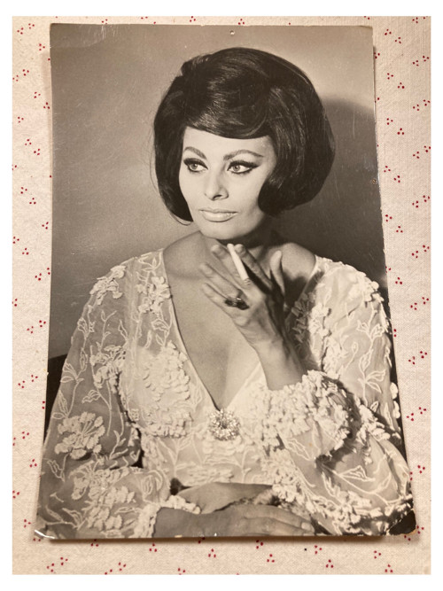 Sophie Loren- velká pohlednice