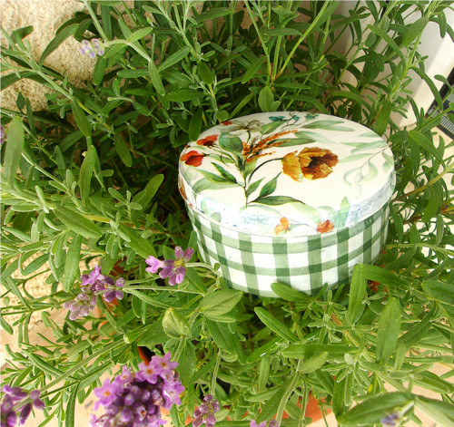 Flowers - krabička