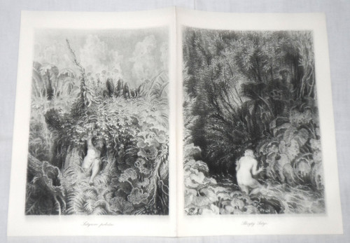 Grafický DVOJLIST • Max Švabinský, Satyr — foto 1