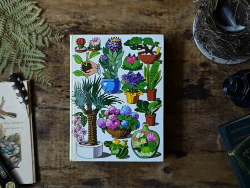 Zimmergarten - mixed media skicák