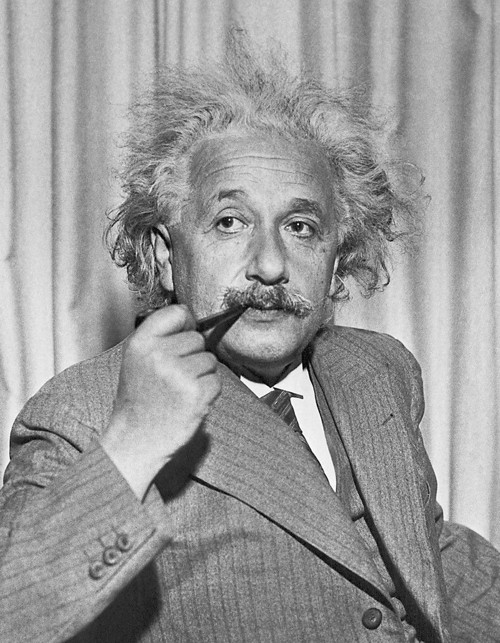 Panel z kočárkoviny 45x35 cm: Albert Einstein