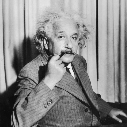 Panel bavlněný 45x45 cm: Albert Einstein — foto 1