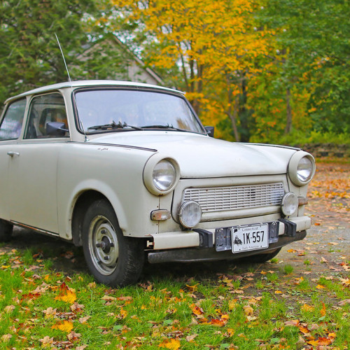 Panel bavlněný 30x30 cm: Trabant