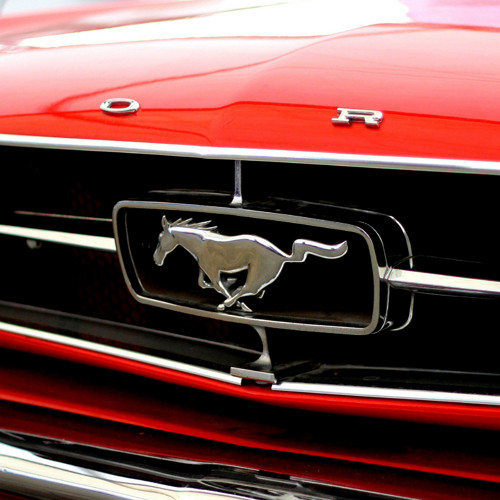 Panel bavlněný 30x30 cm: Ford Mustang