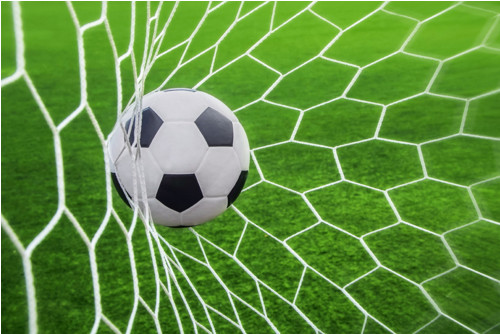 Panel z kočárkoviny 30x20 cm: Fotbal - Gól!