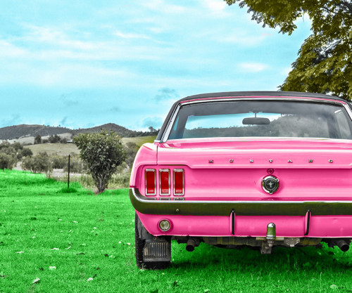 Panel bavlněný 30x25 cm: Mustang — foto 1