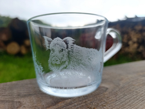 Kňourek