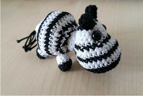 Háčkovaná zebra (Černobílý svět)