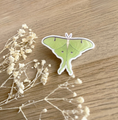 Actias Luna odznak / pin můry