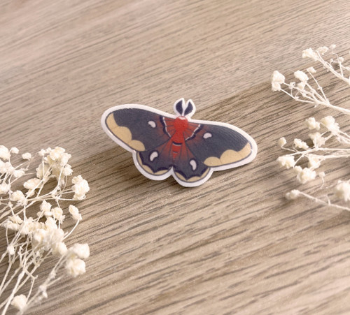 Cecropia moth odznak / pin