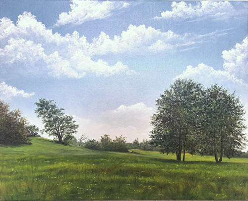 Louka na Vrchovině, olej 50x40