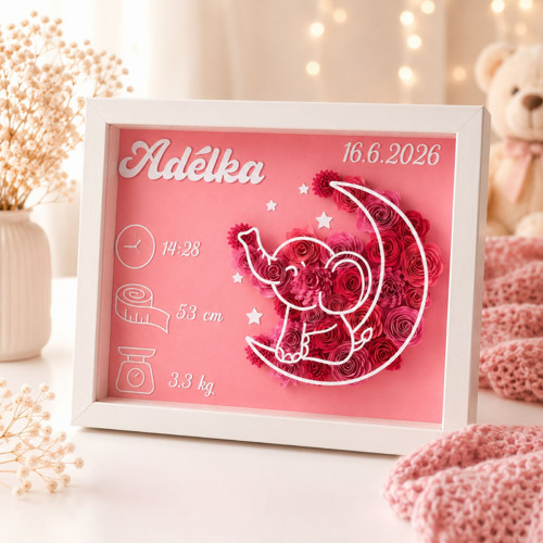 3D obraz Moon Elephant