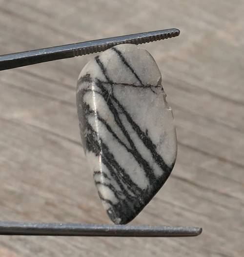 Jaspis picasso (26 mm) V4123