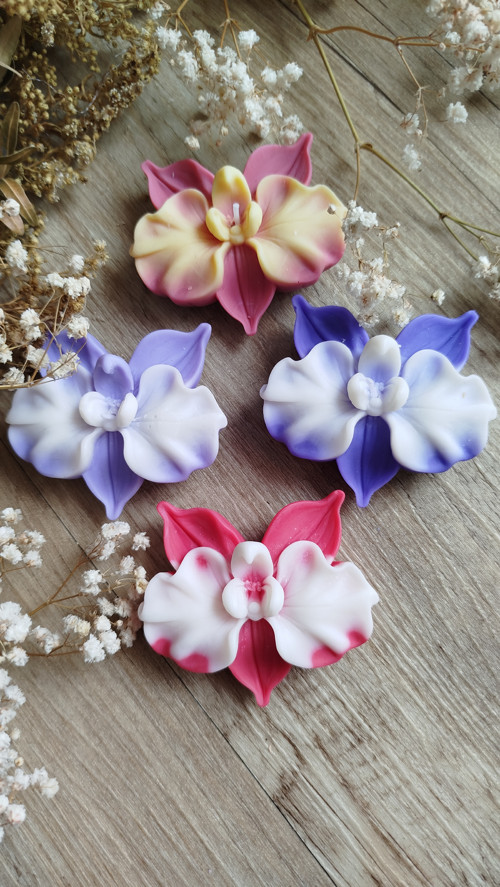 Svíčka orchidej — foto 1