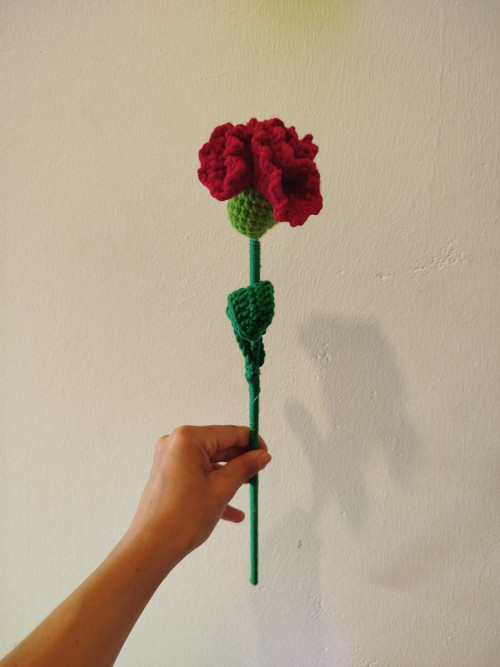 Cervenka