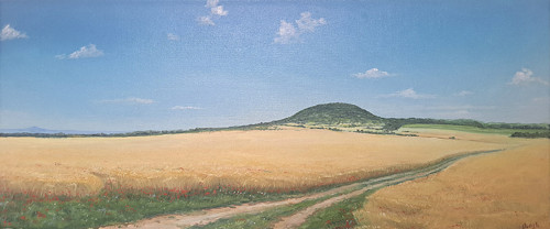 ŘÍP - olej-70x30